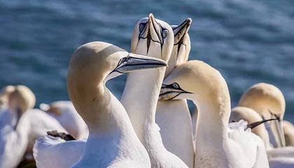 开云体育官方网入口-国内外电竞赛事合作持续深化，行业格局调整，国外电竞比赛