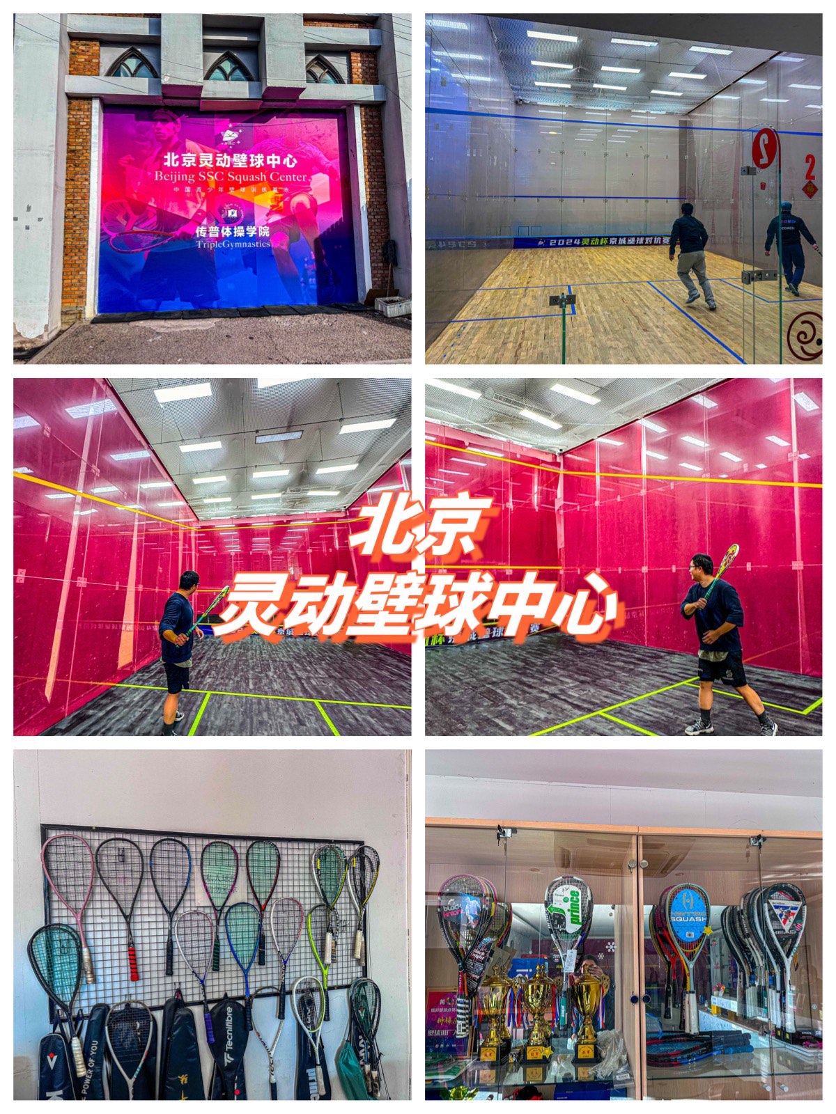 关于室内壁球巡回赛,运动新体验的信息 关于室内壁球巡回赛,运动新体验的信息