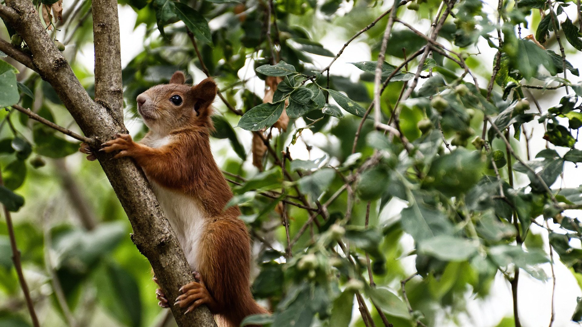 开云体育视频直播-VALORANT 赛事奖金创历史新高，valorant冠军赛