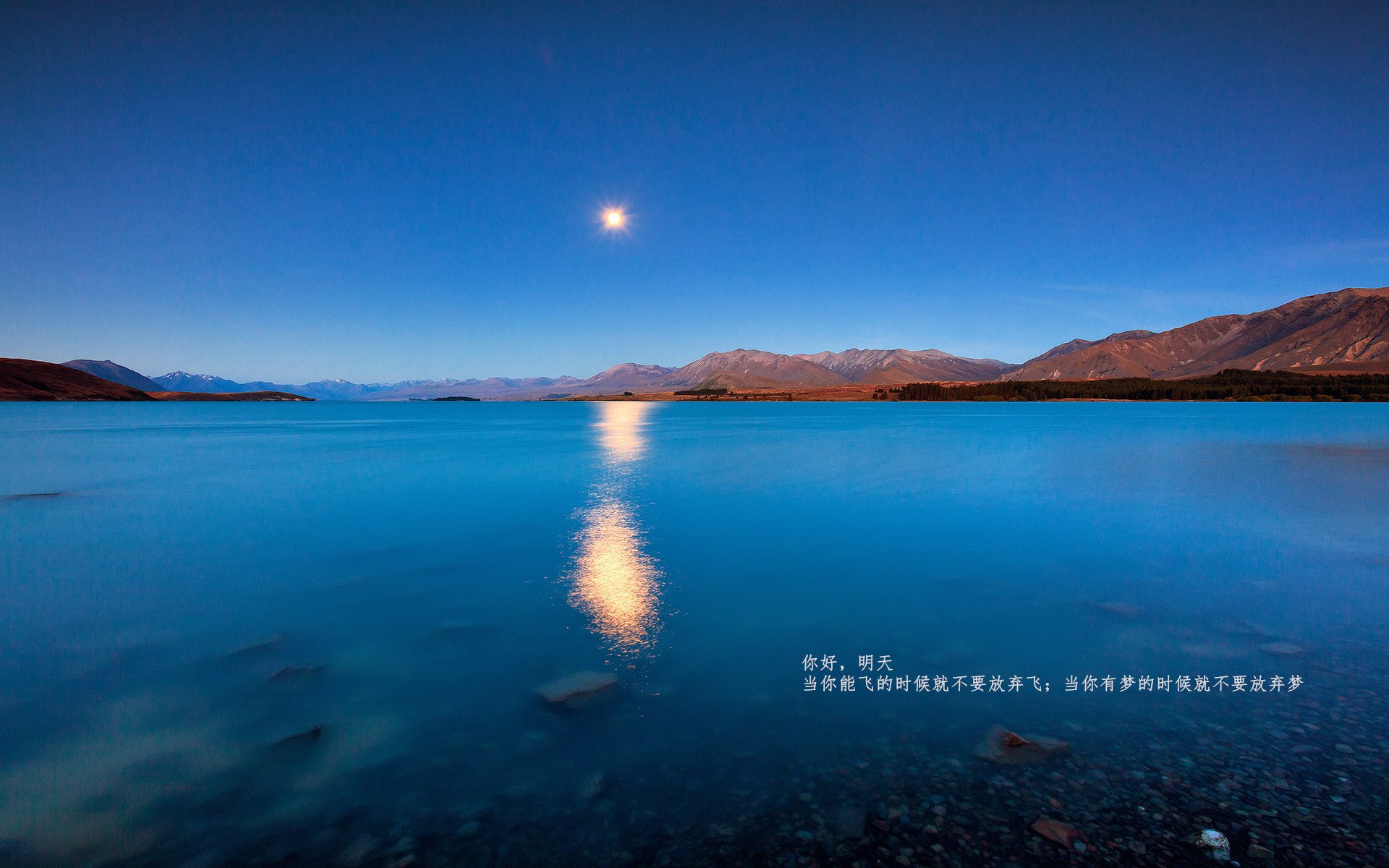 开云官网首页-伊朗队荣获“最佳雪地适应奖”，贴吧热门评论