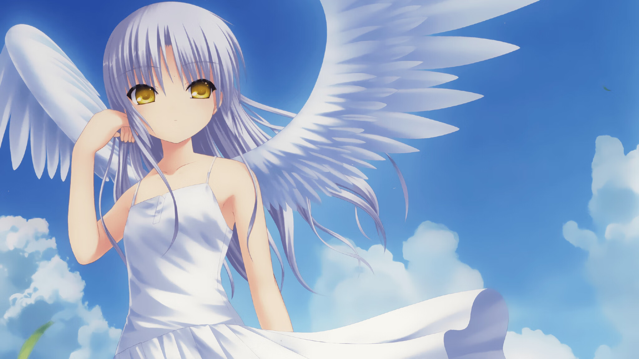 伊朗马术协会与欧洲马术协会签署合作协议,共同举办国际赛事。