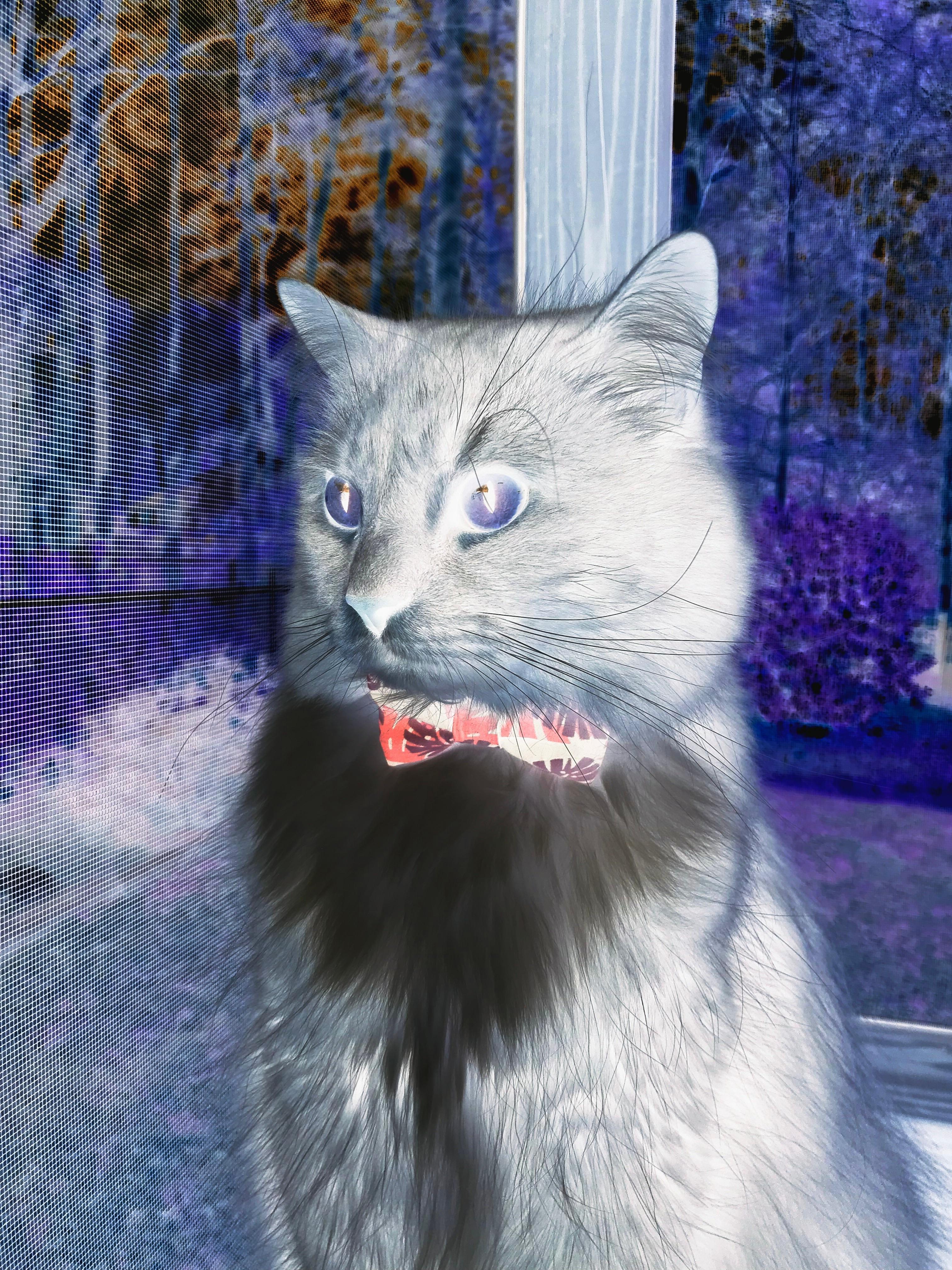 开云官网登录-火箭与腾讯达成战略合作，开启中国球迷专属互动平台，腾讯nba火箭队常规赛程表都没有了