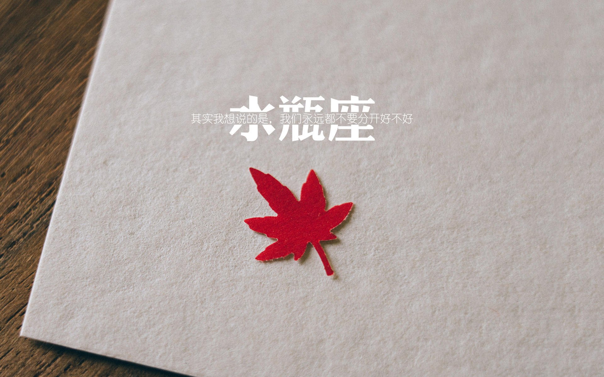 火箭传奇麦迪回归担任顾问，协助年轻球员成长，麦迪火箭队