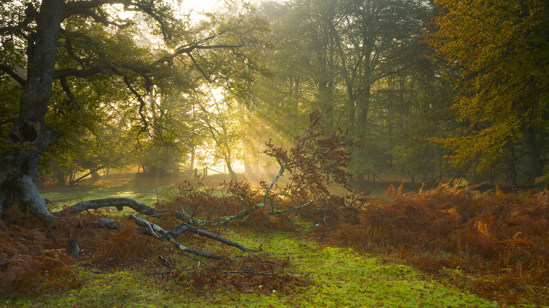 绝地求生 决赛直播观看人数创新高,绝地求生直播比赛