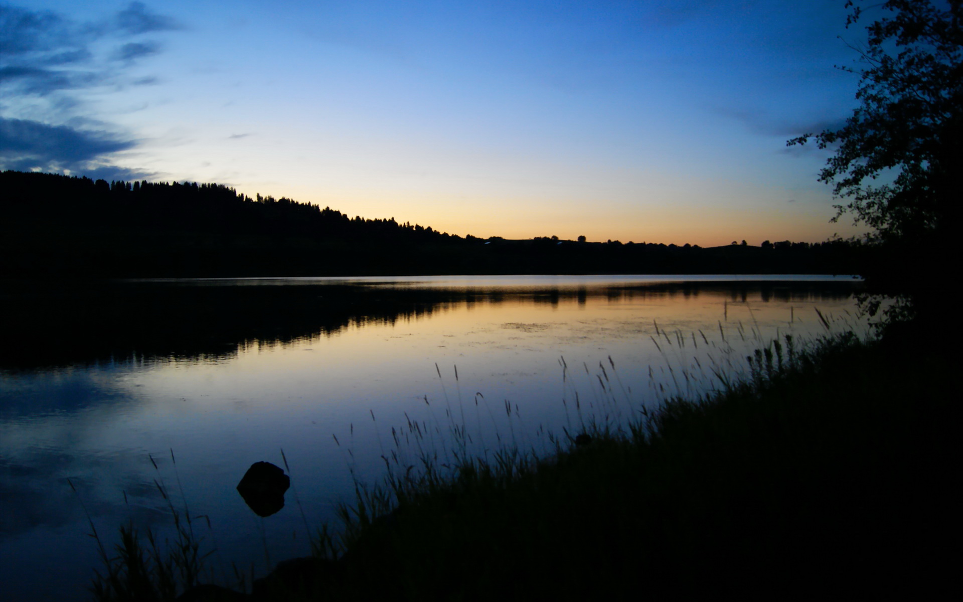 西班牙马术代表队引入先进的马匹护理技术,提升马匹健康水平。