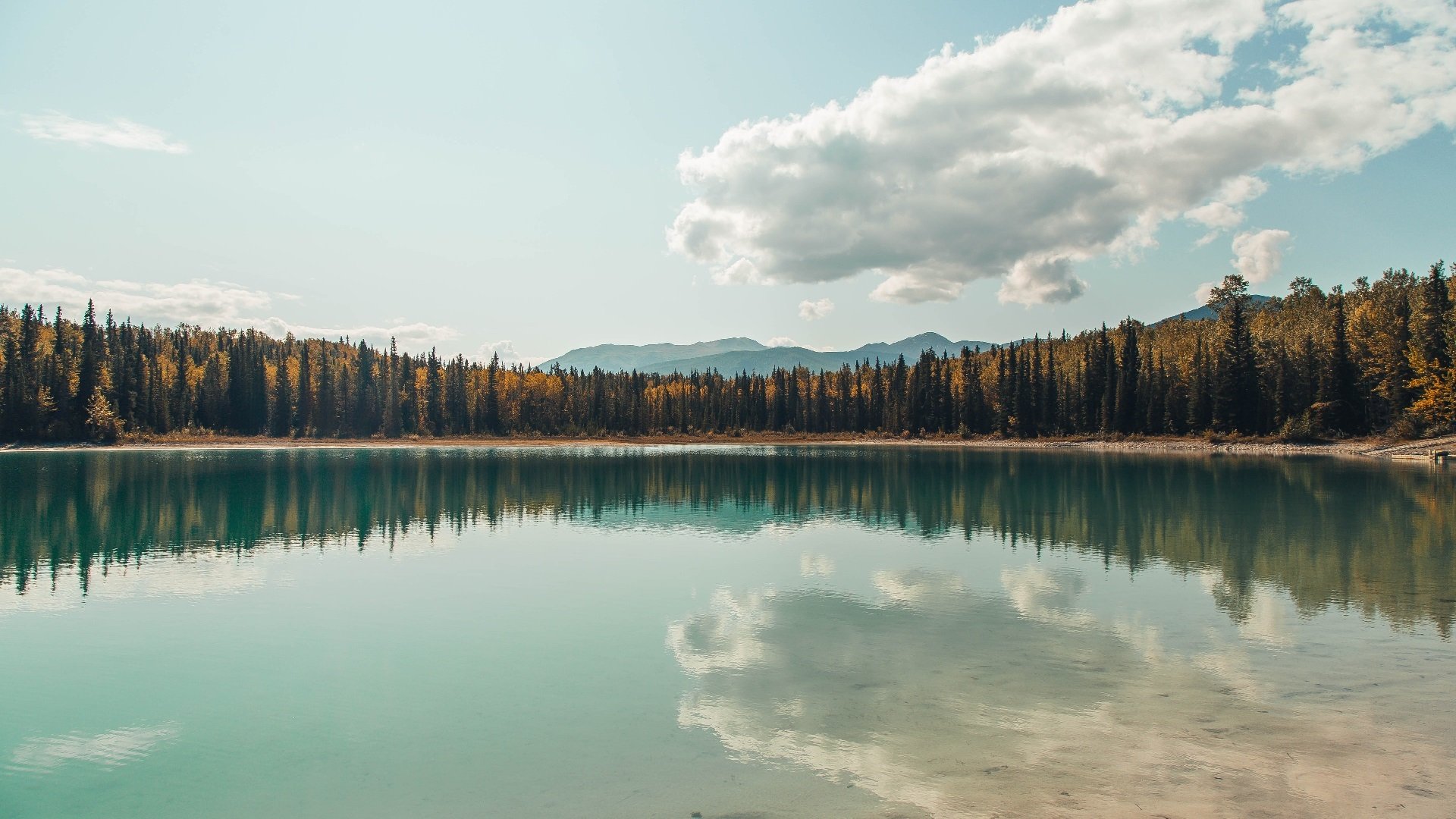 开云体育视频直播-比赛选手英勇争先，力争出彩，争勇竞先