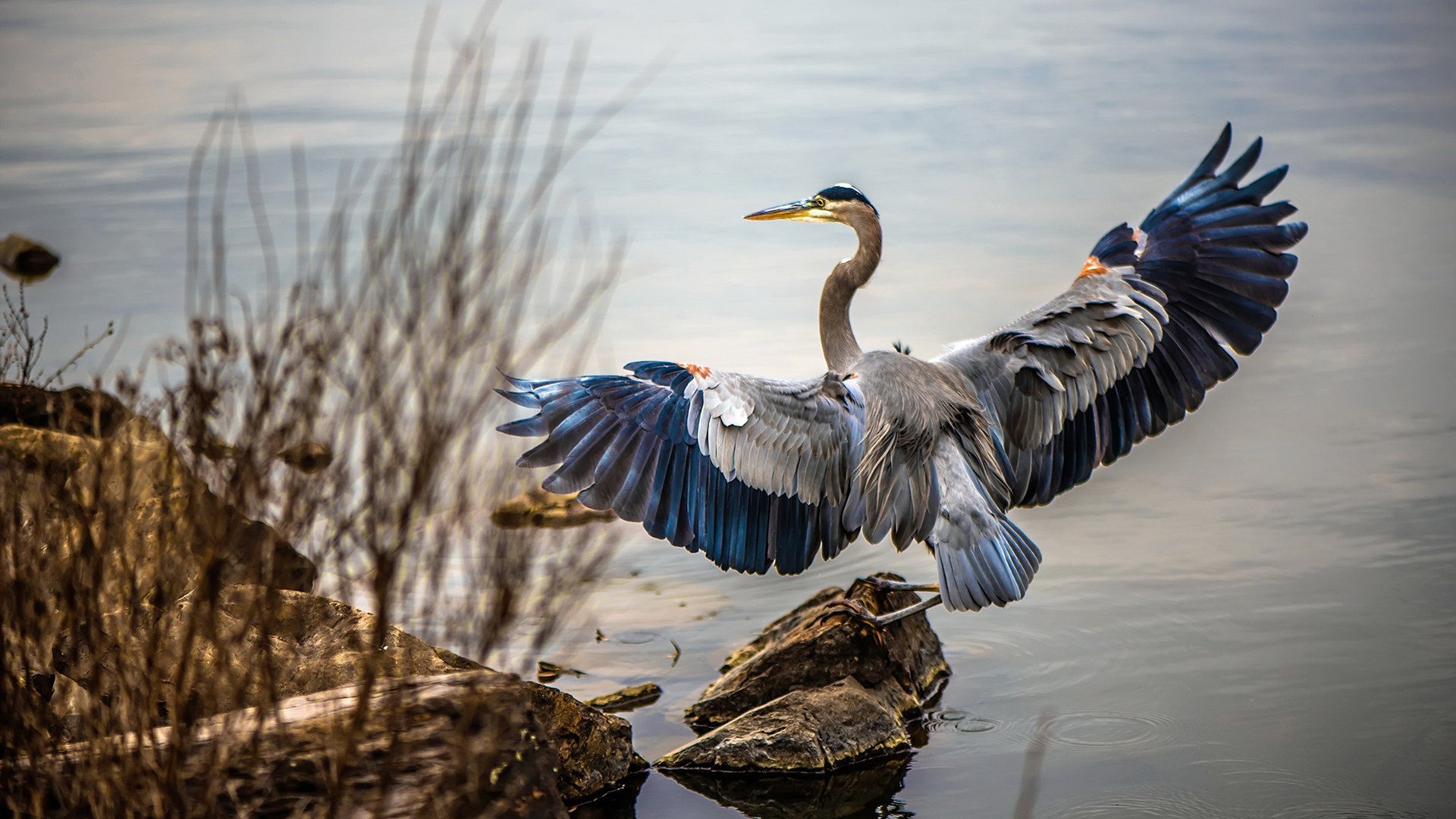 比达洛伊德止步不前,陷入困顿,刻苦努力,比达洛伊德止步不前,陷入困顿,刻苦努力的例子