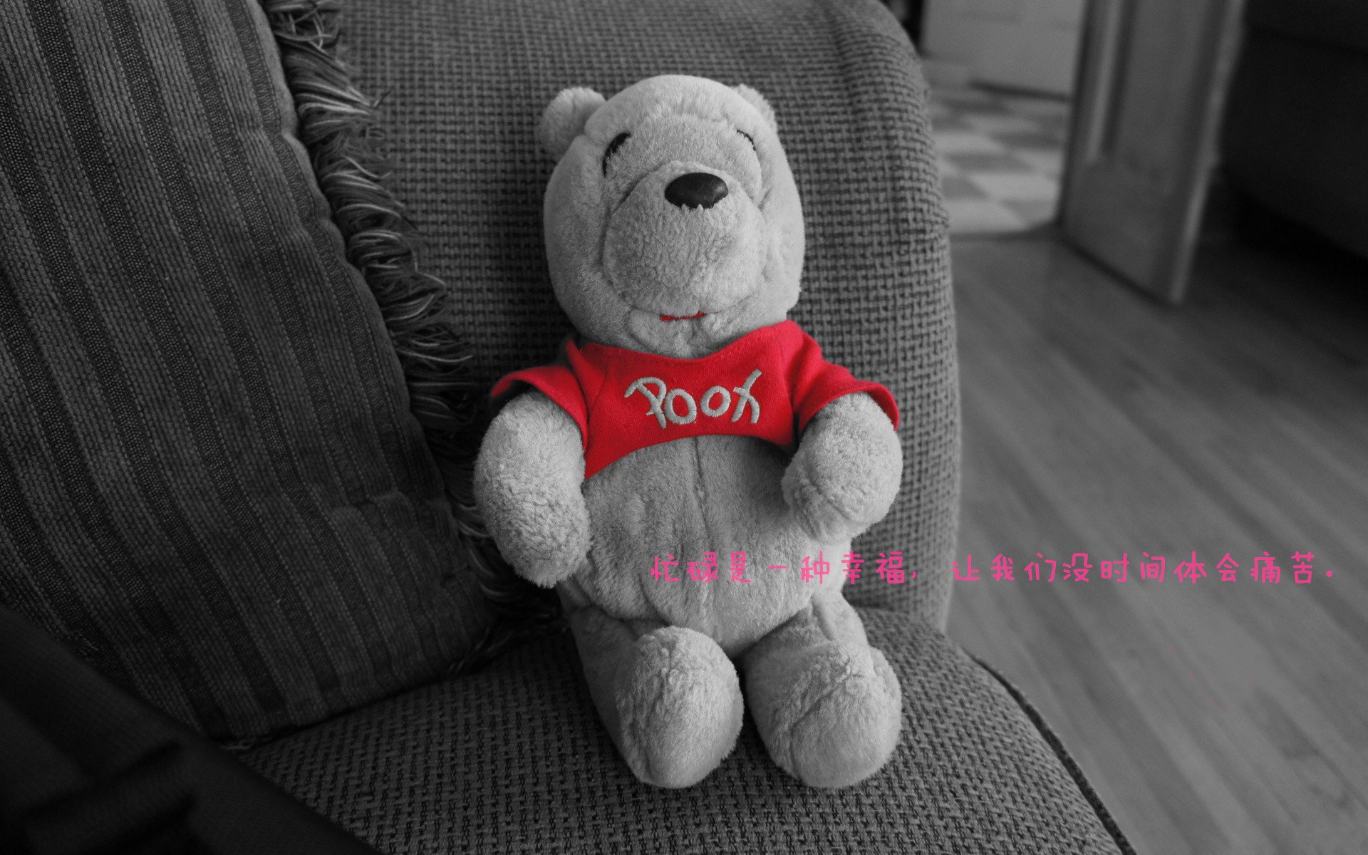 瑞士马术协会与欧洲马术协会签署合作协议,共同举办国际赛事。