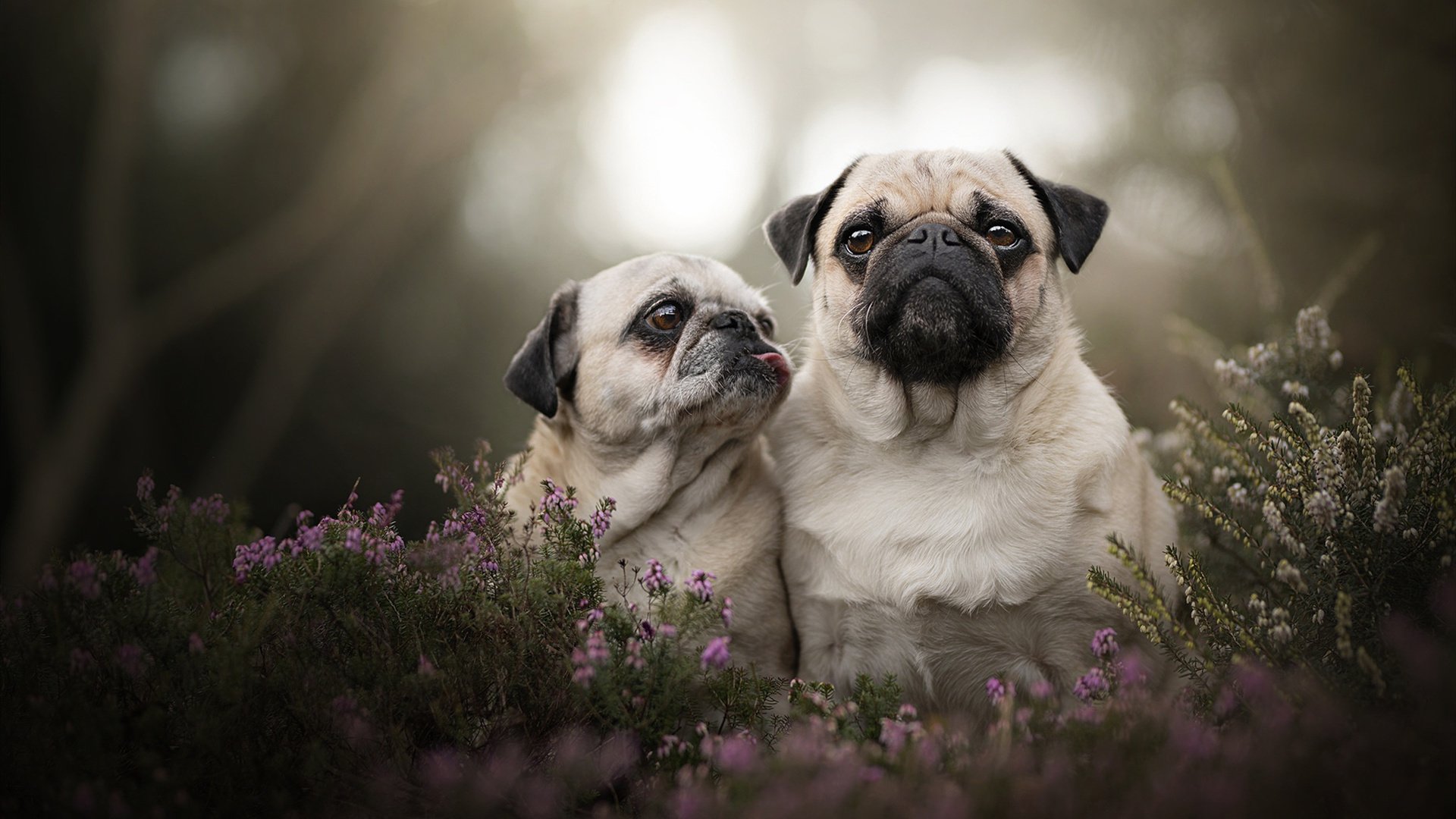 kaiyun登录入口-NBA球队青训体系与人才选拔机制优化，nba球队培养年轻球员