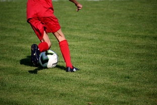 开云网页版-NBA球队青训体系建设与人才储备，nba青年队