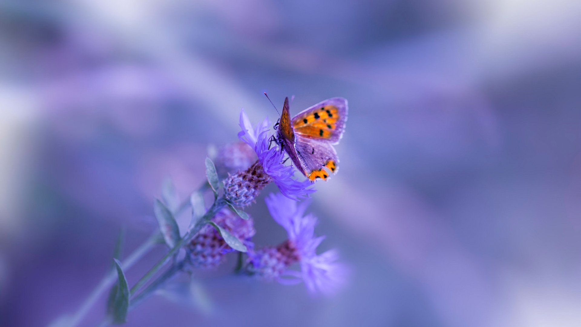 体育场馆绿色环保改造，体育场馆绿色环保改造方案