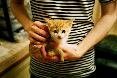 青少年体育活动组织方案完善，实施青少年体育活动促进计划培育青少年体育爱好