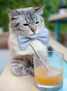 校园足球摄影大赛激发学生参与热情，足球摄影获奖作品