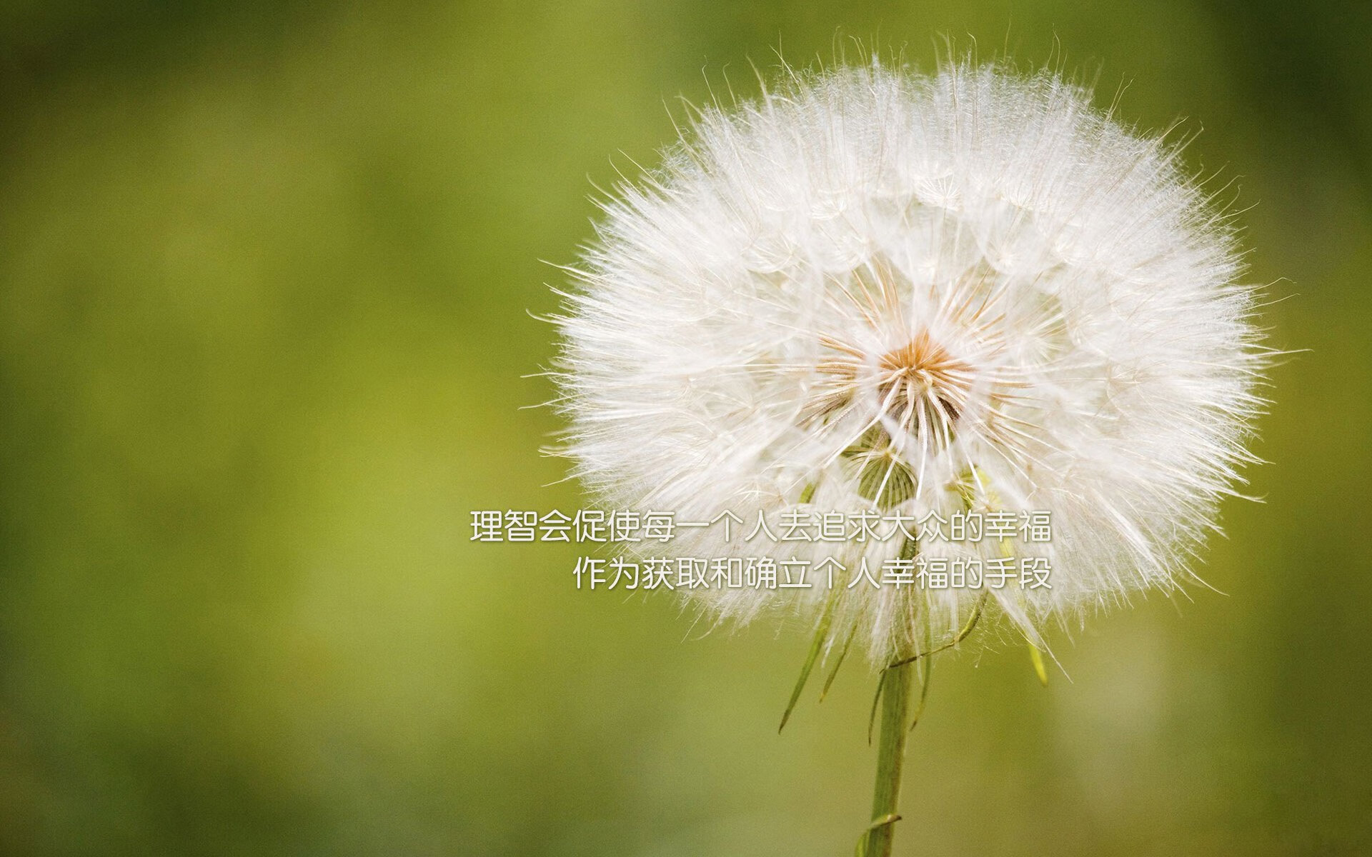 球星在不同节奏下的表现是否一致，各球星的区域