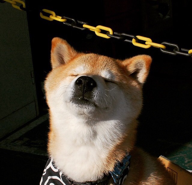 美队多项技术统计领先全球,美队多项技术统计领先全球的国家