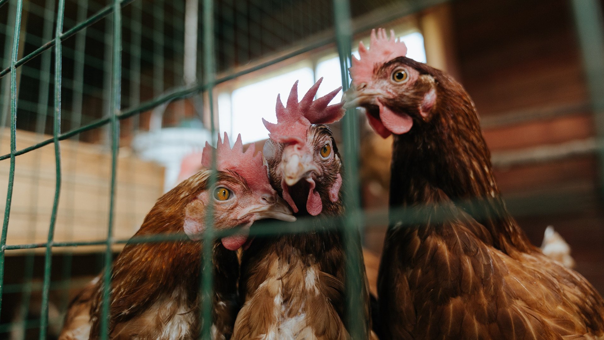 开云体育APP下载-国家橄榄球队公布训练基地升级及开放计划，国家橄榄球队公布训练基地升级及开放计划